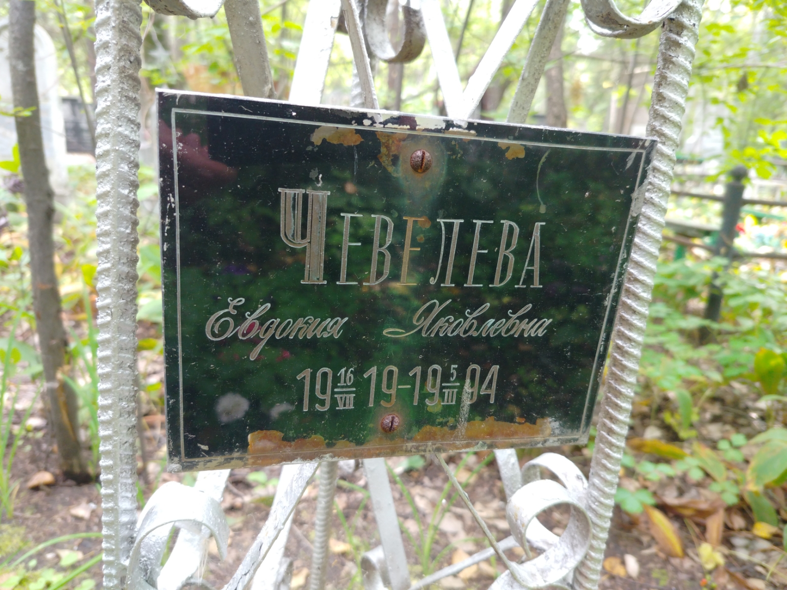Чевелева Евдокия Яковлевна