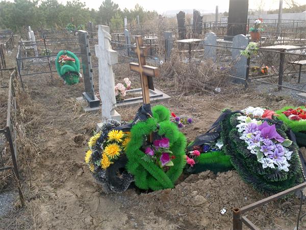 Шипулёва Тамара Михайловна