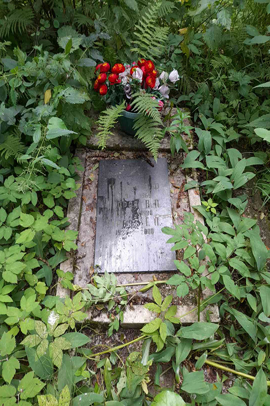 Егоров В. П.