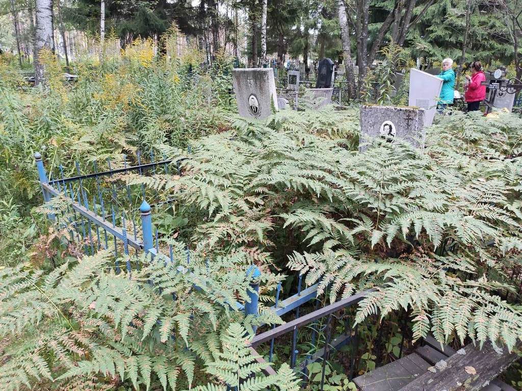 Носков Алексей Васильевич