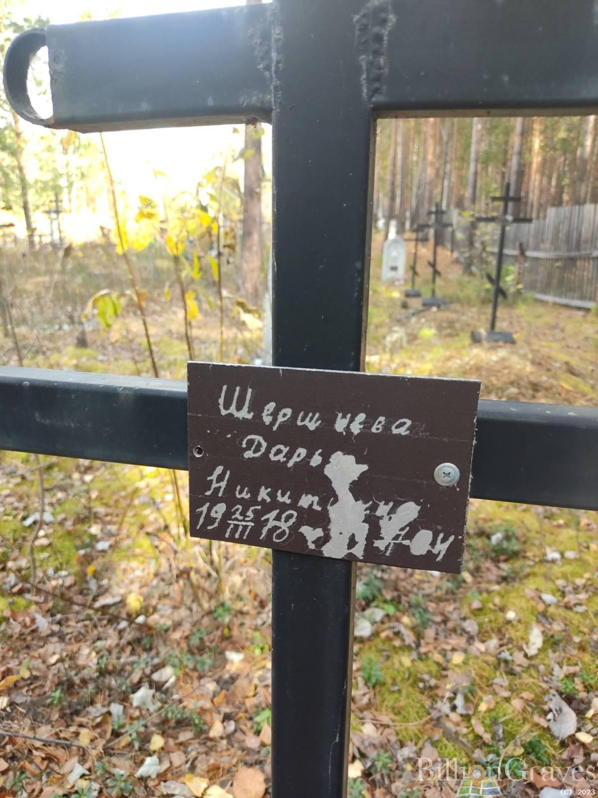 Шершнева Дарья Никитична