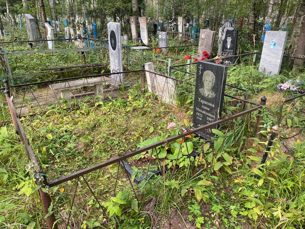Тарасова Анна Михайловна