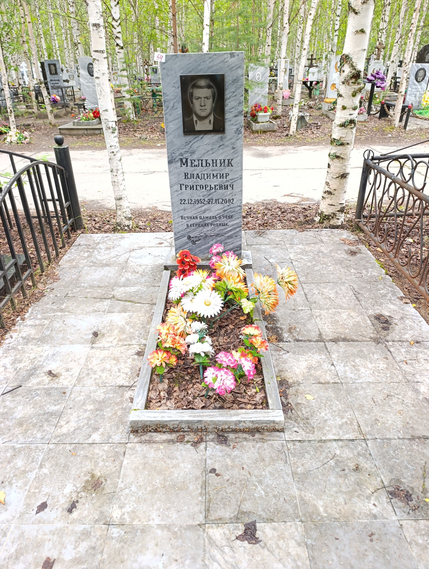 Мельник Владимир Григорьевич