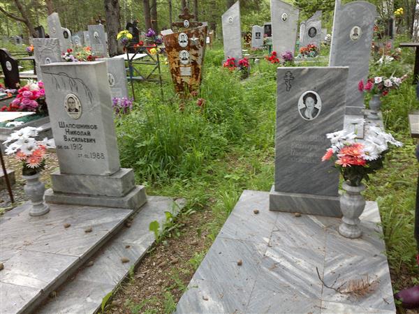 Шепошников Николай Васильевич