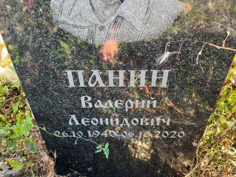 Панин