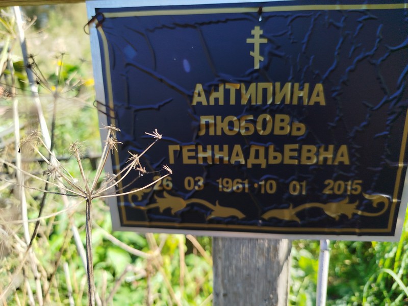 Антипина