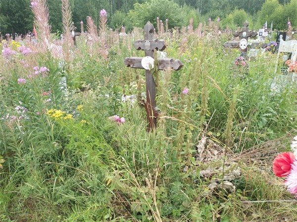 Палехова Татьяна Евгеньевна