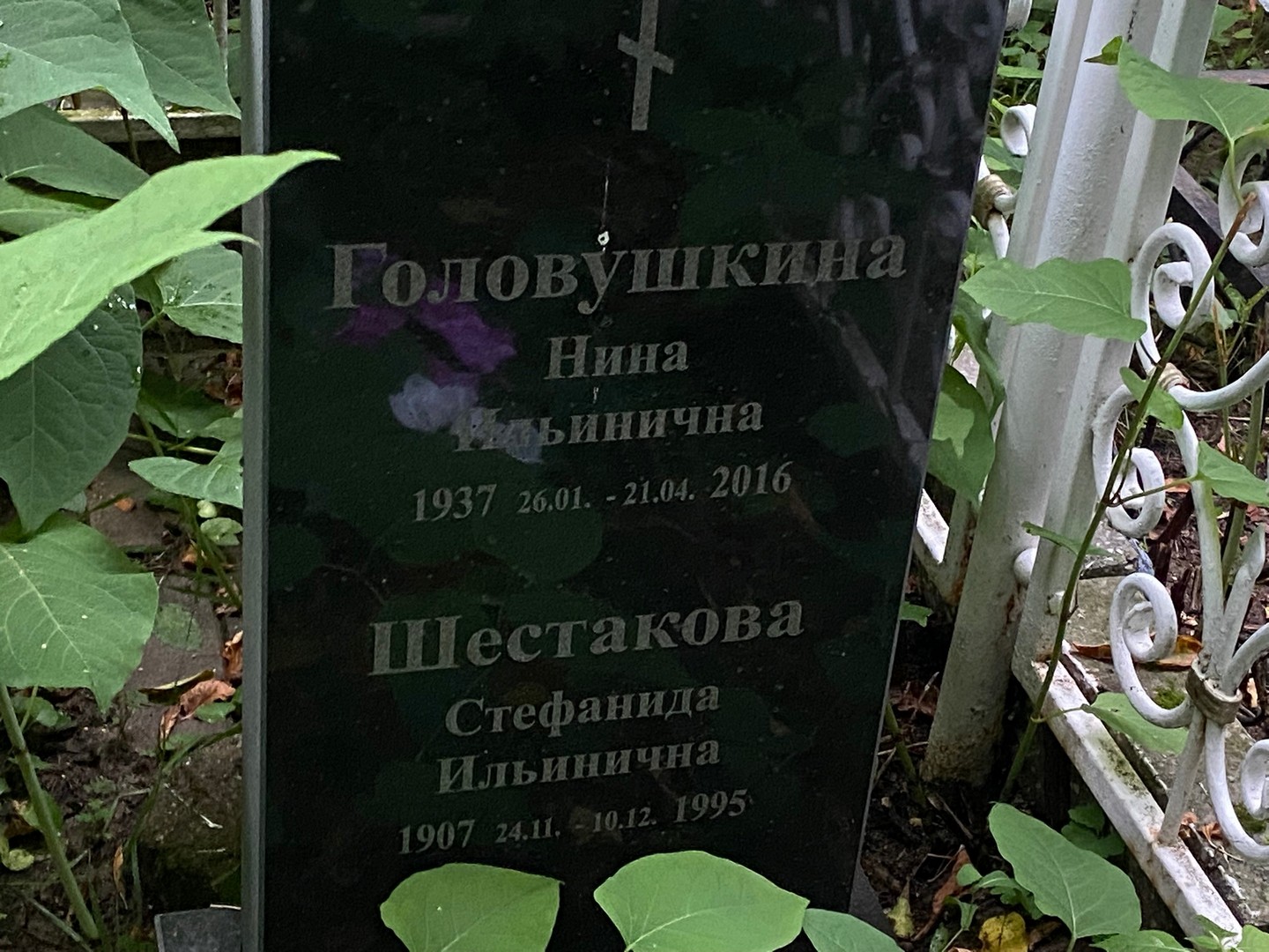 Стефанида Шестакова Ильинична