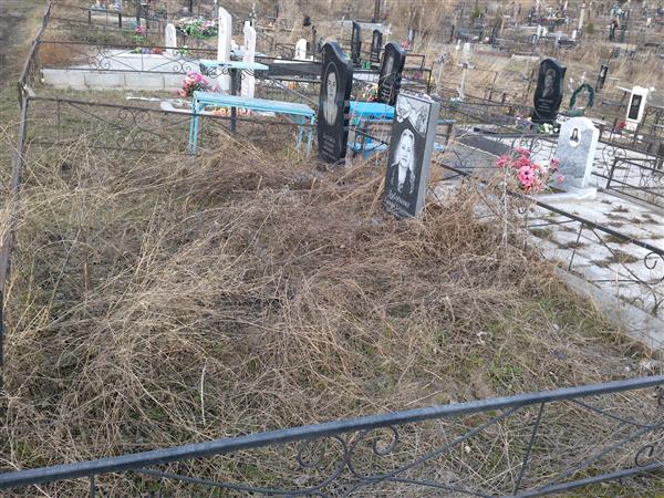 Балабка Евгения Юрьевна