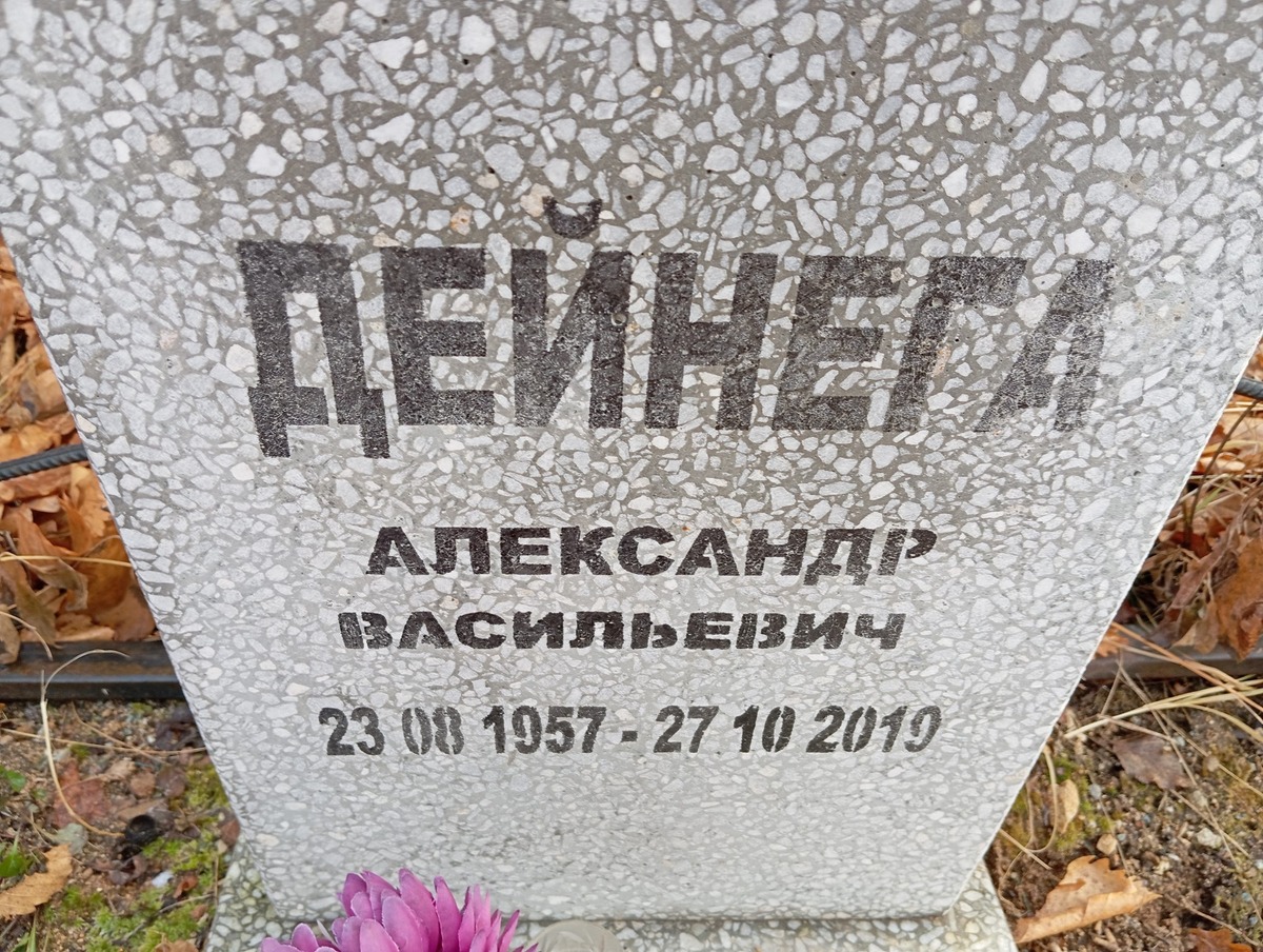 Дейнега Александр Васильевич