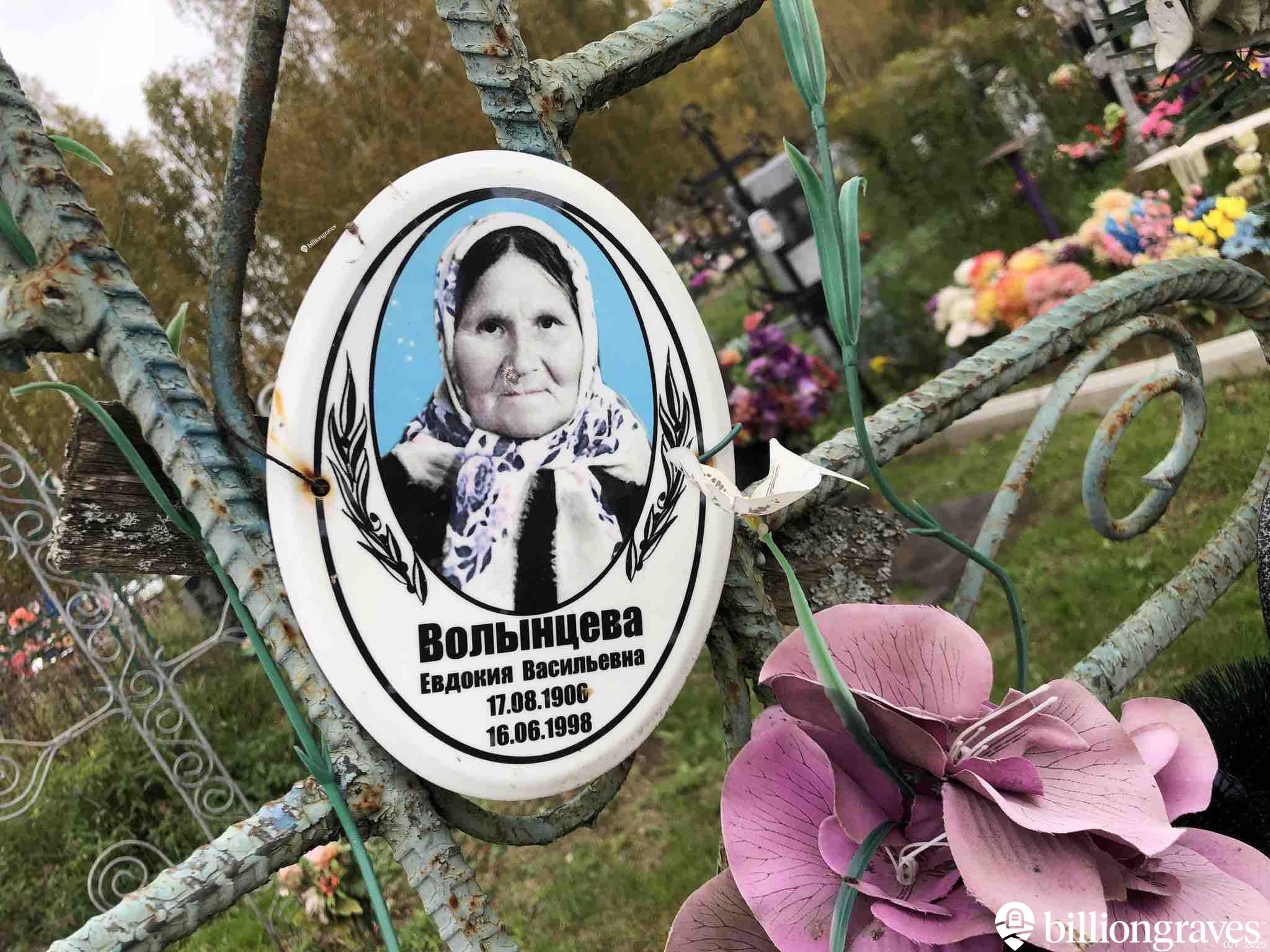 Волынцева Евдокия Васильевна