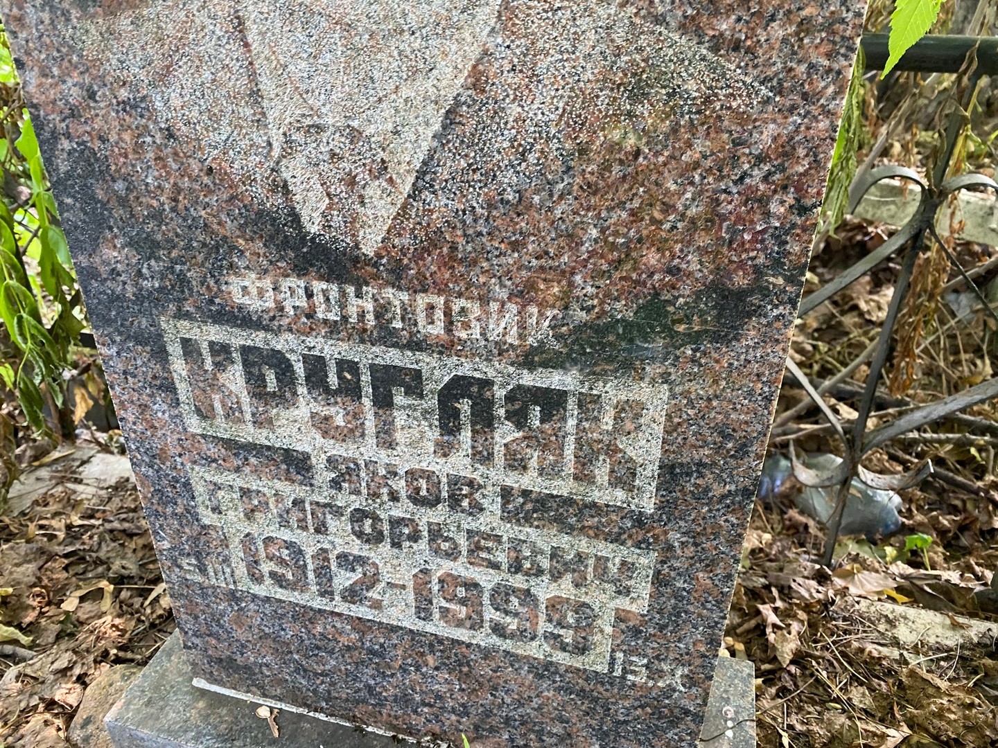 Кругляк
