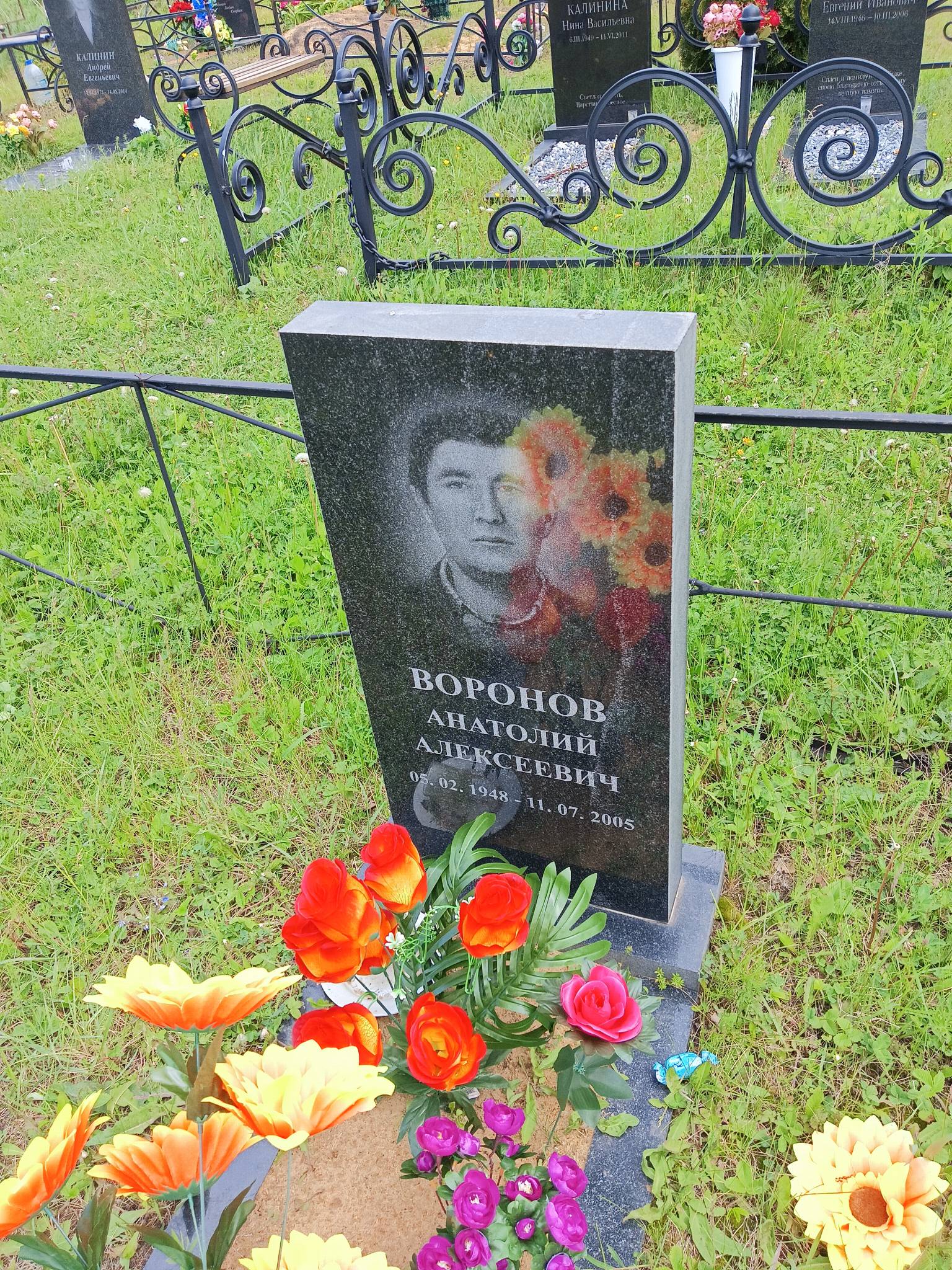Воронов Анатолий Алексеевич