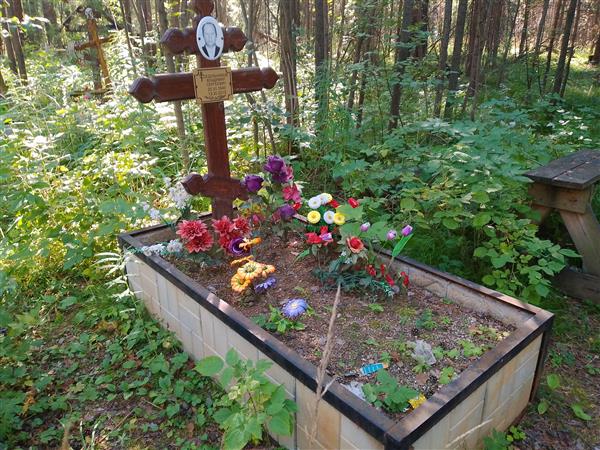 Седельников Владимир Сергеевич