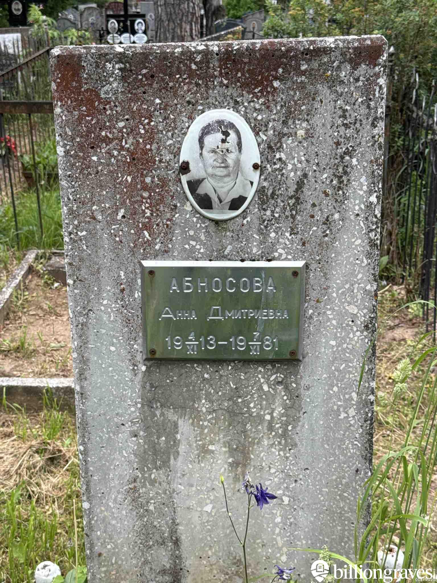 Абносова Анна Дмитриевна