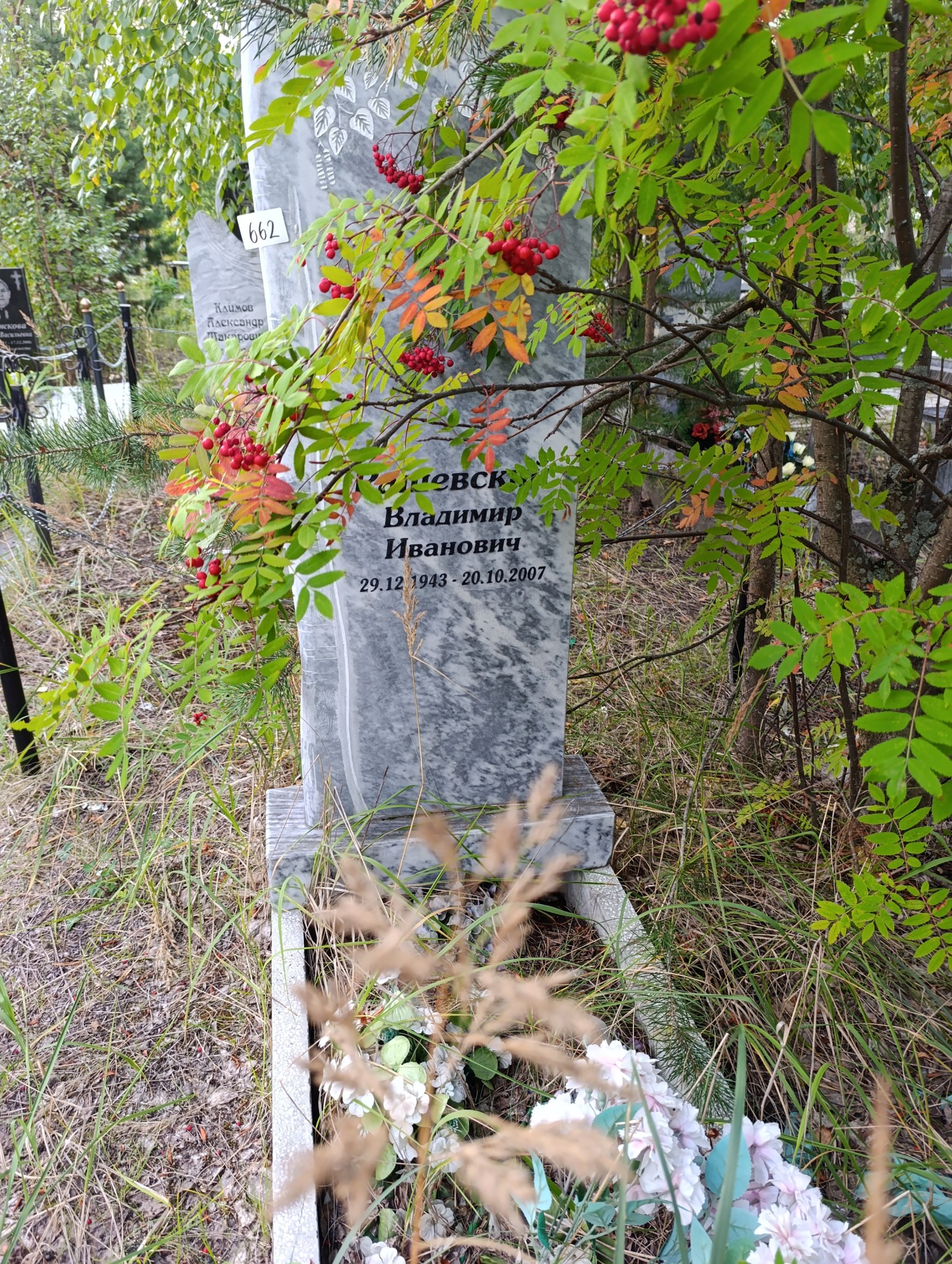 Рашевский Владимир Иванович