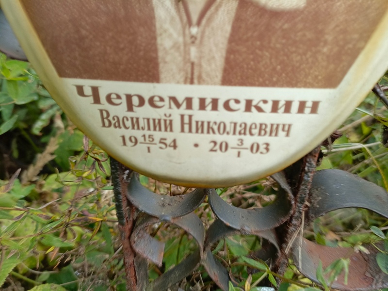 Черемискин