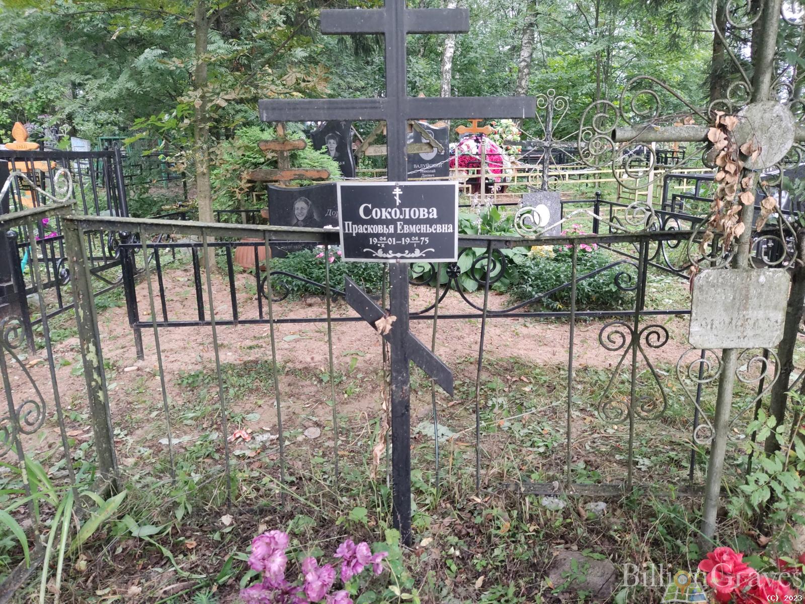 Соколова Прасковья Евменьевна