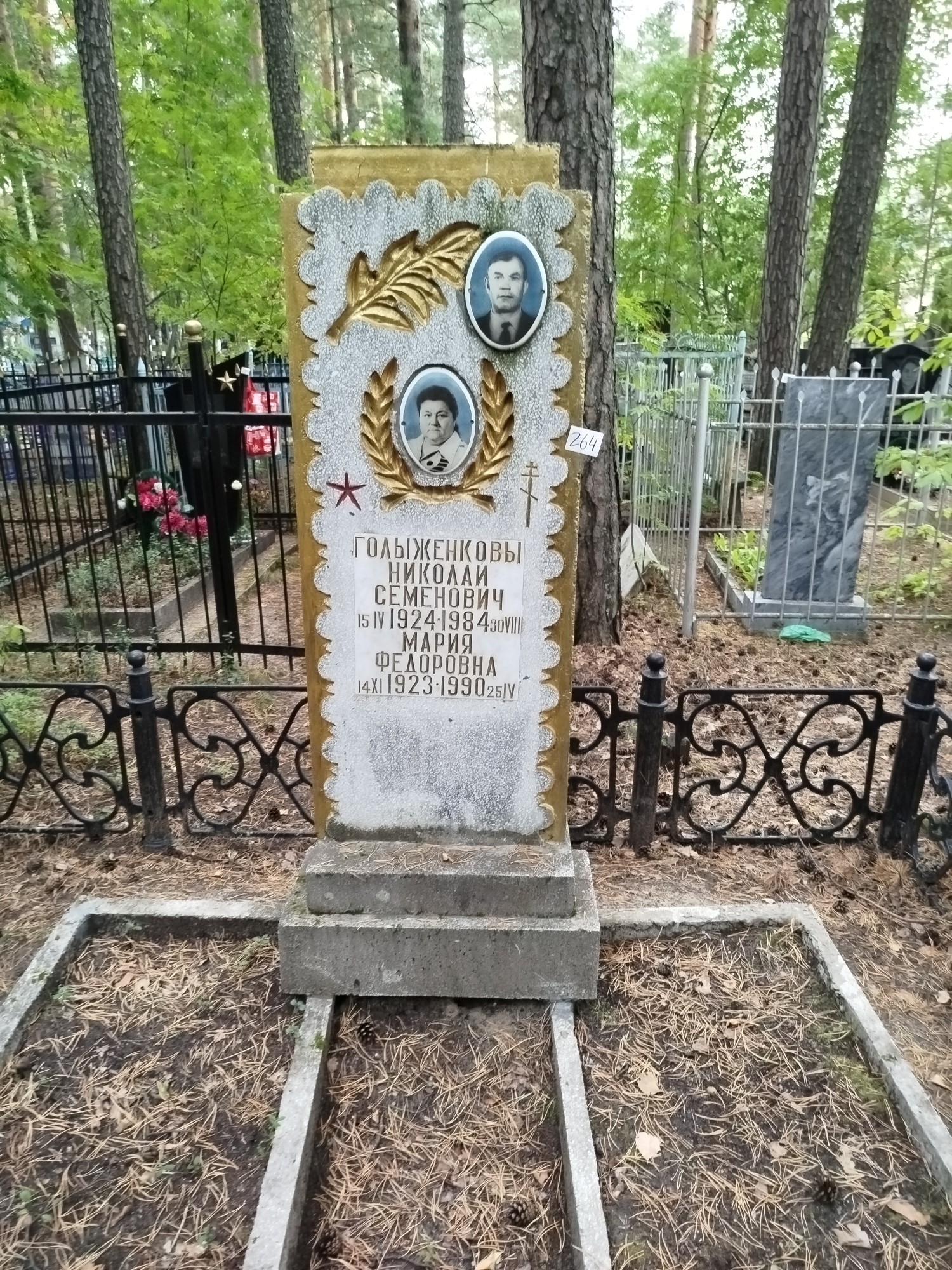 Голыженков Николай Семенович