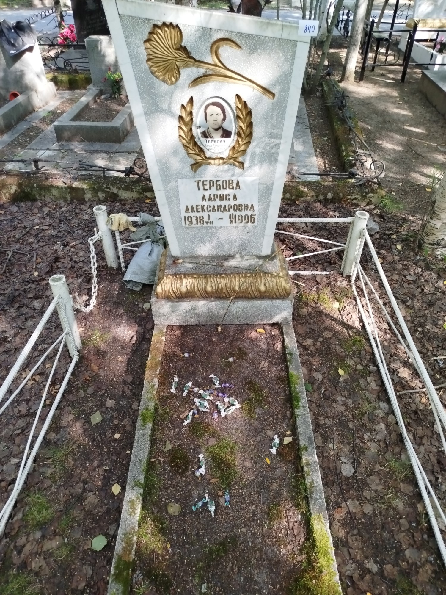 Тербова Лариса Александровна