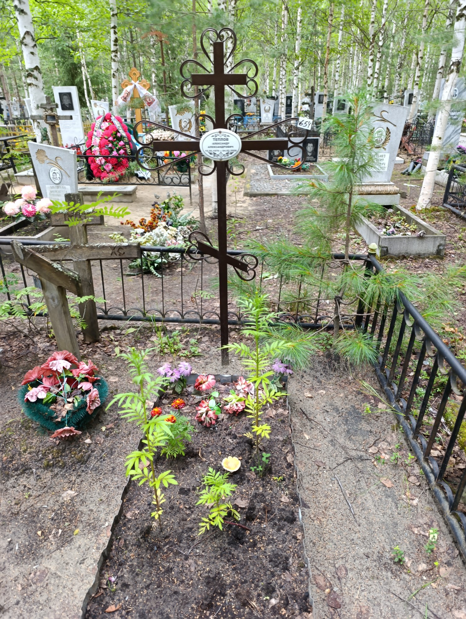 Теплов Александр Александрович