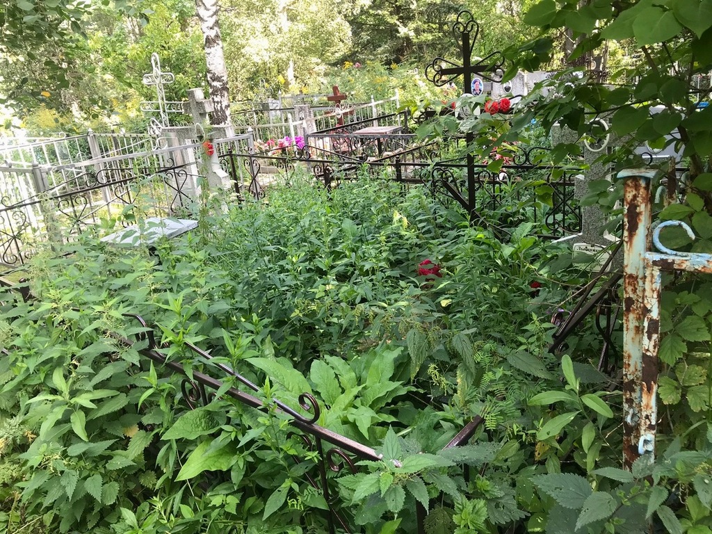 Лышникова Тамара Ивановна