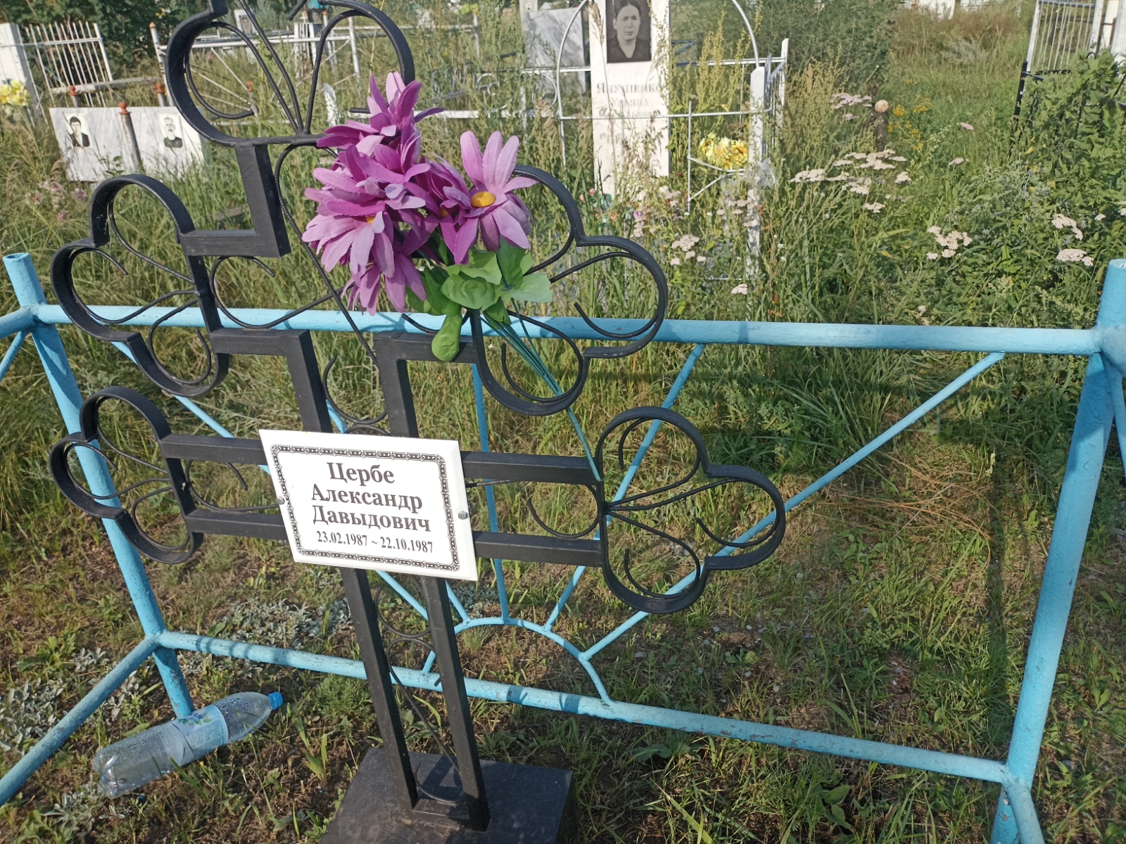 Цербе Александр Давыдович