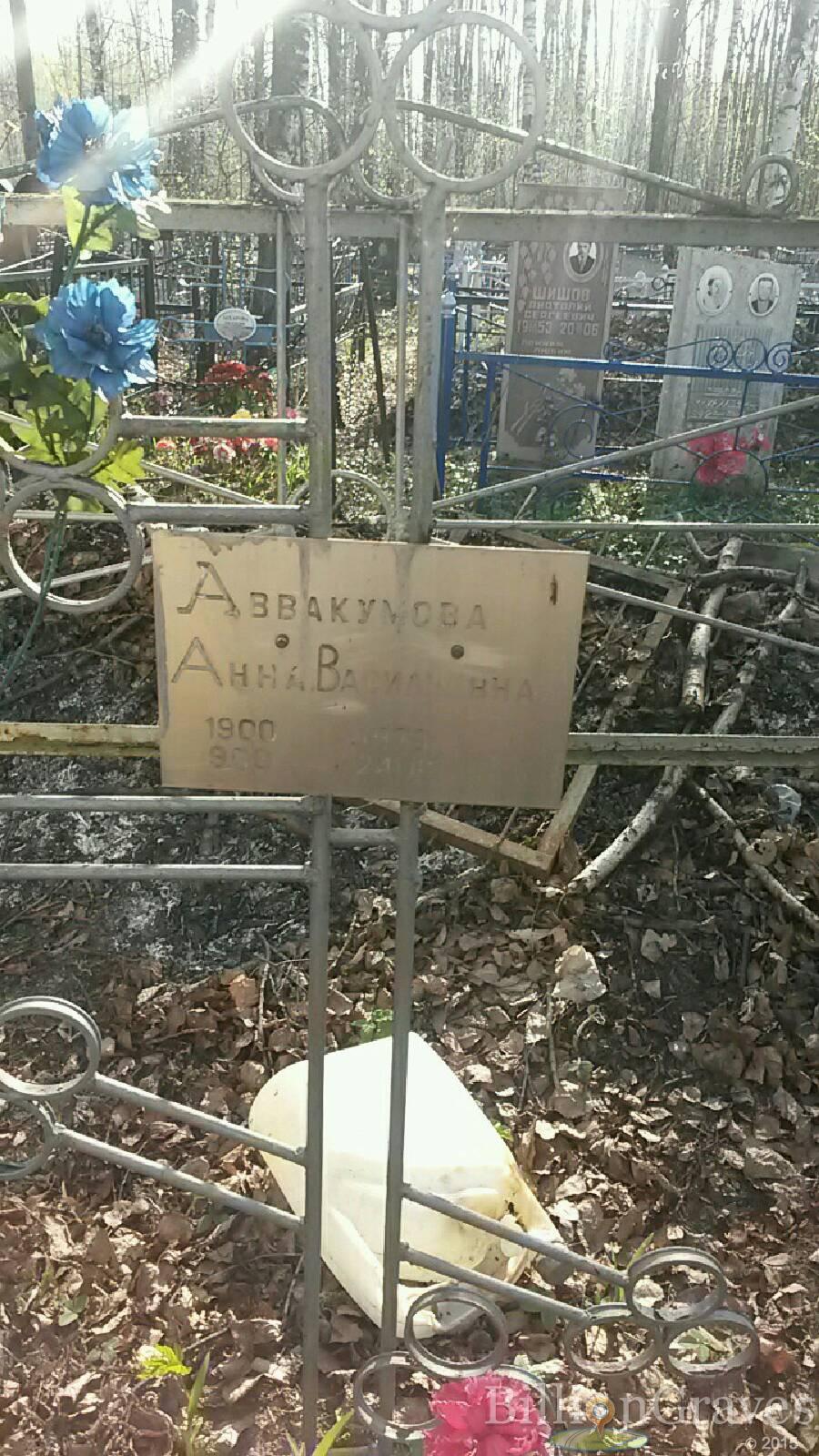 Аввакумова Анна Васильевна