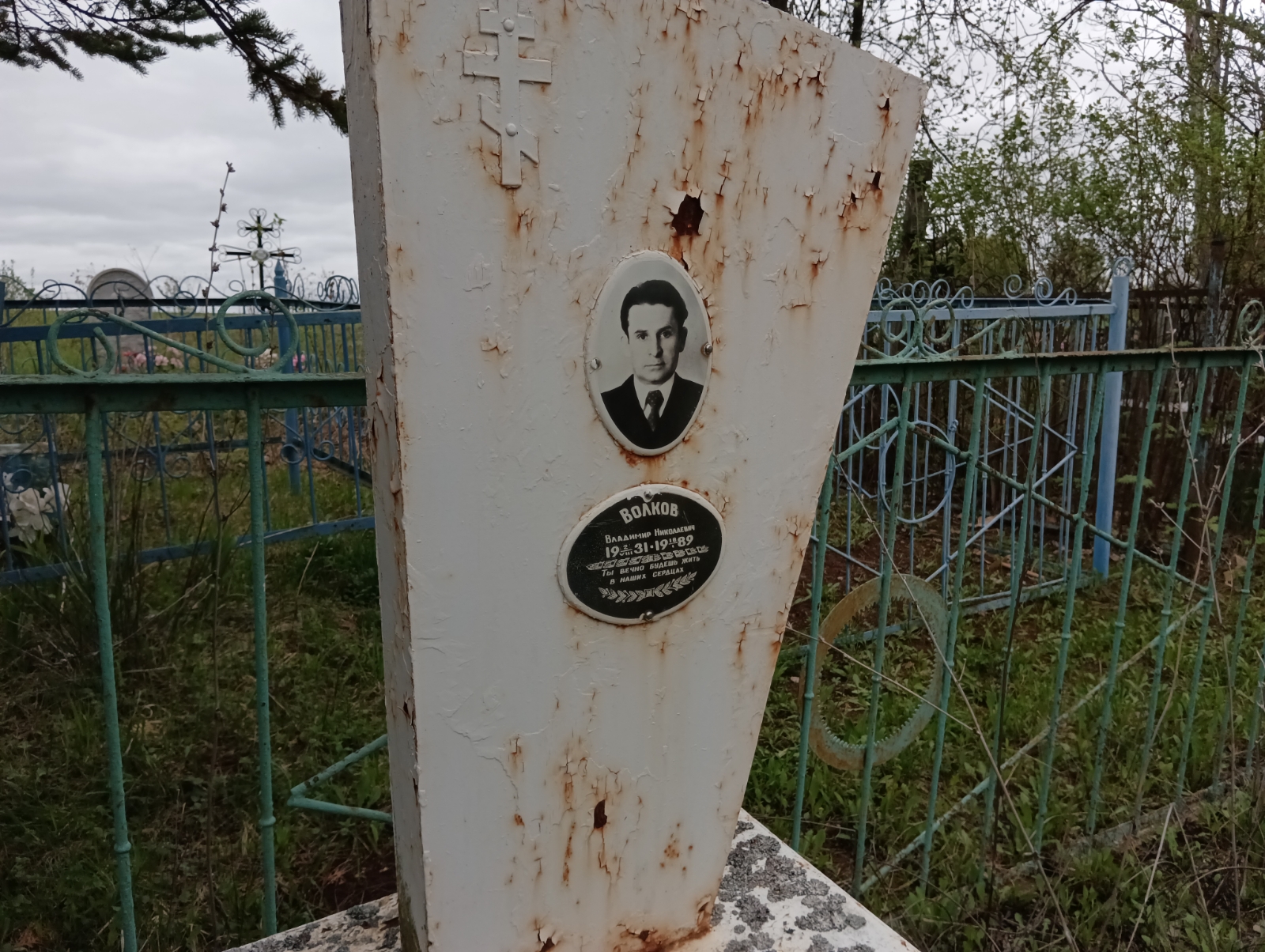 Волков Владимир Николаевич