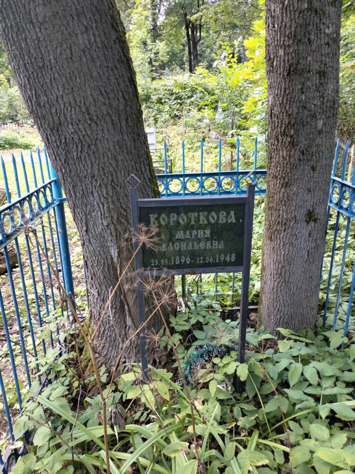Короткова Мария Васильевна