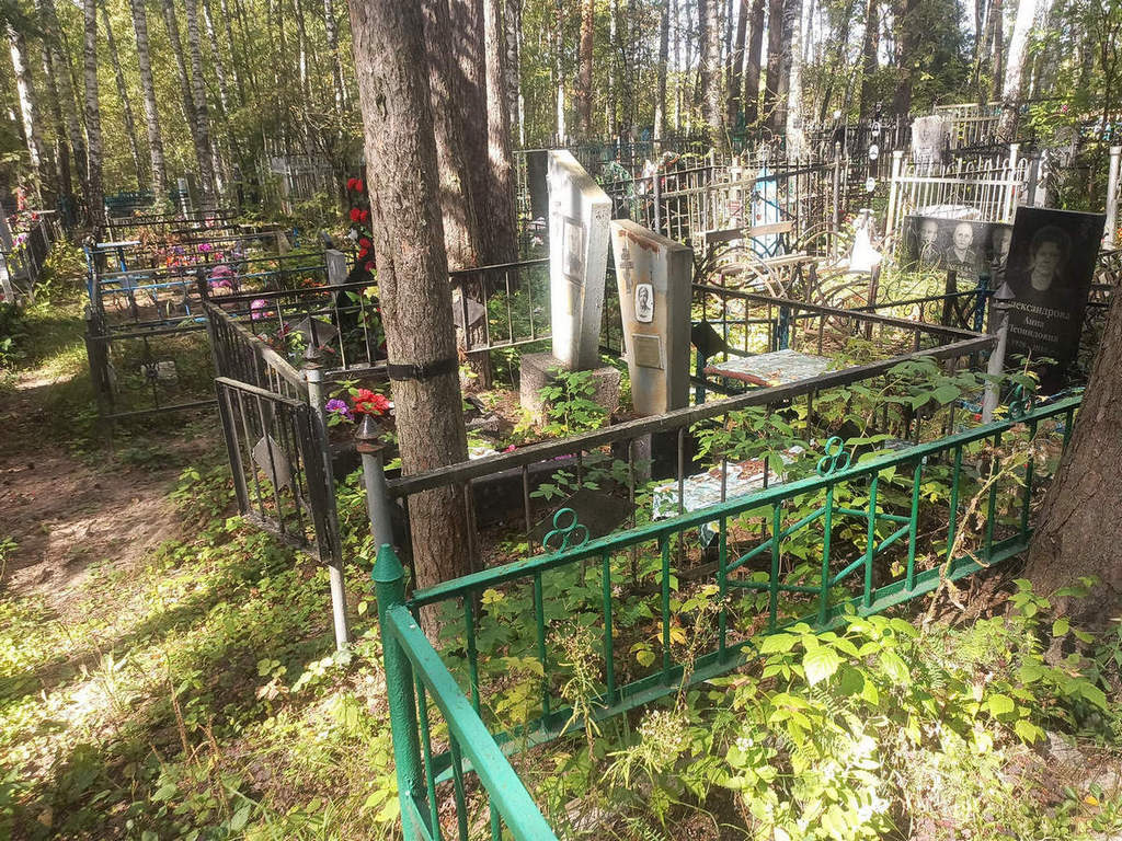 Медведев Сергей Васильевич