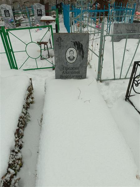 Предеин Анатолий Николаевич