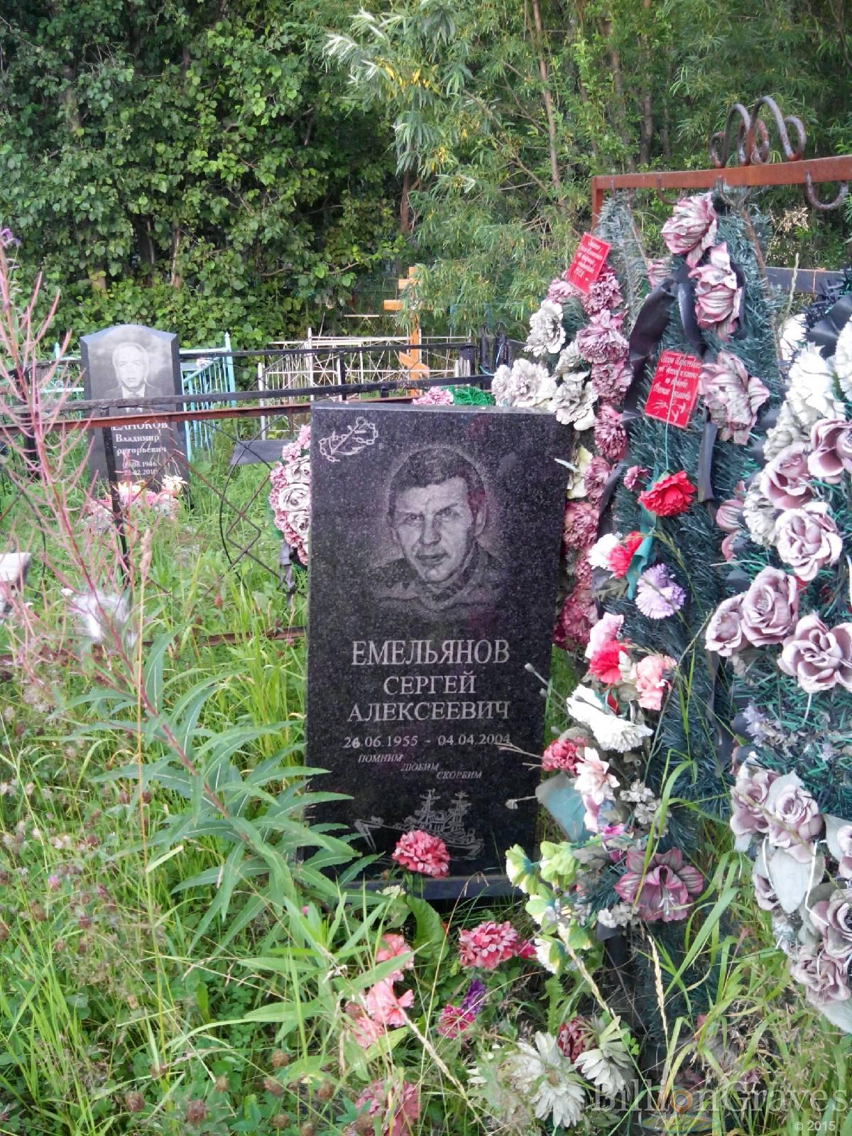 Емельянов Сергей Алексеевич