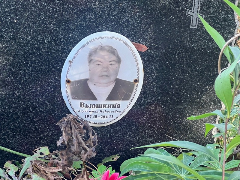 Вьюшкина