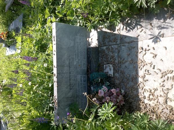 Бадьин Леонид Васильевич