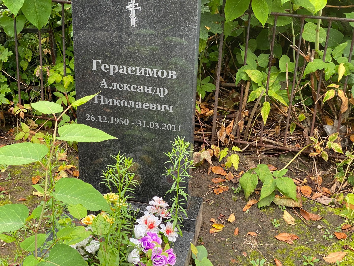 Герасимов