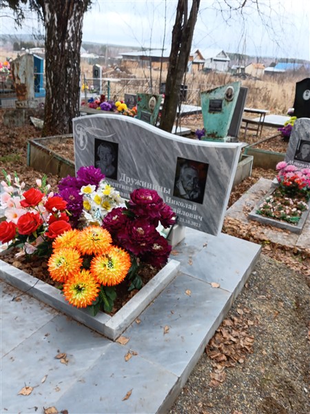 Дружинин Николай Михайлович
