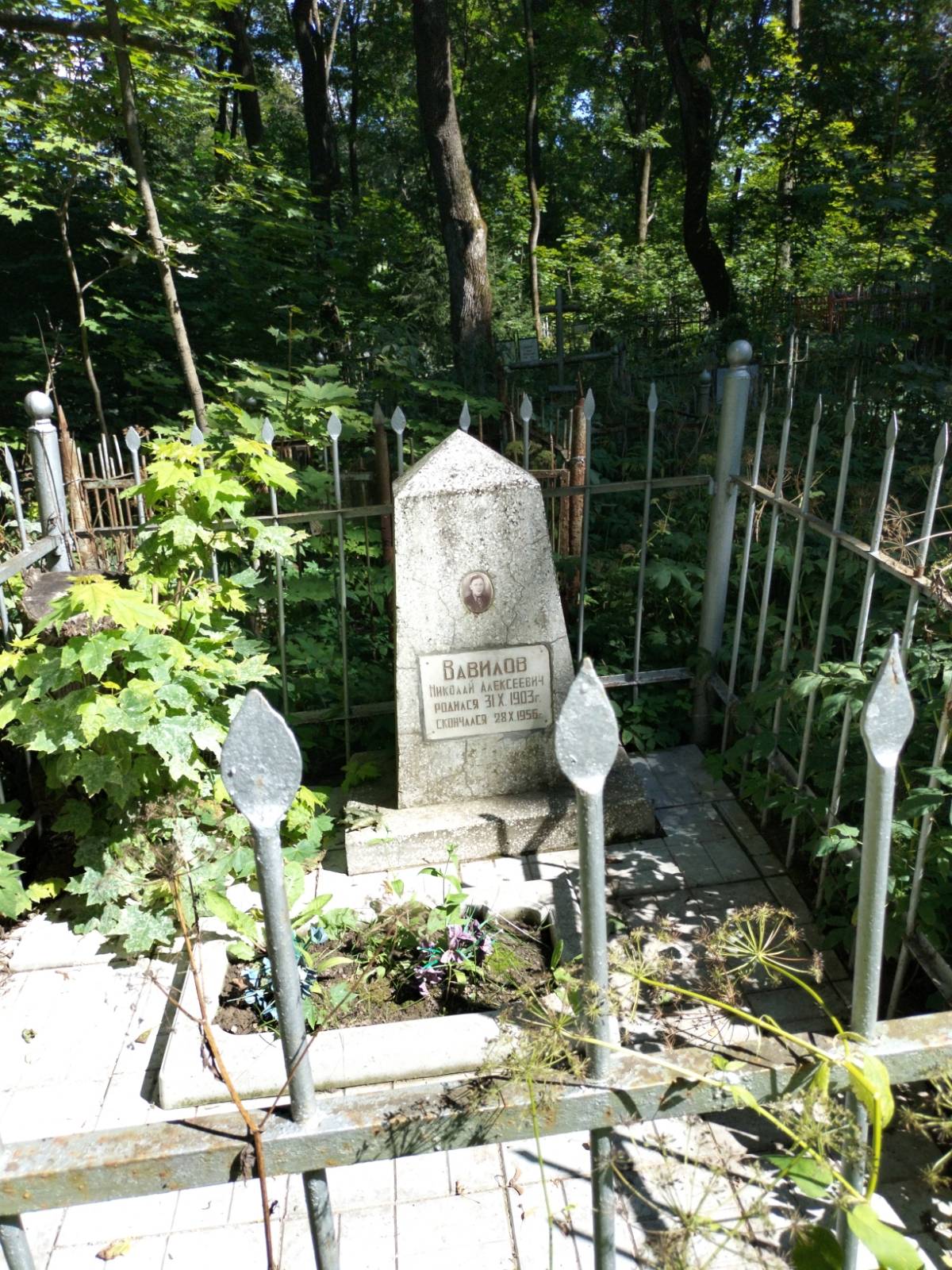 Вавилов Николай Алексеевич