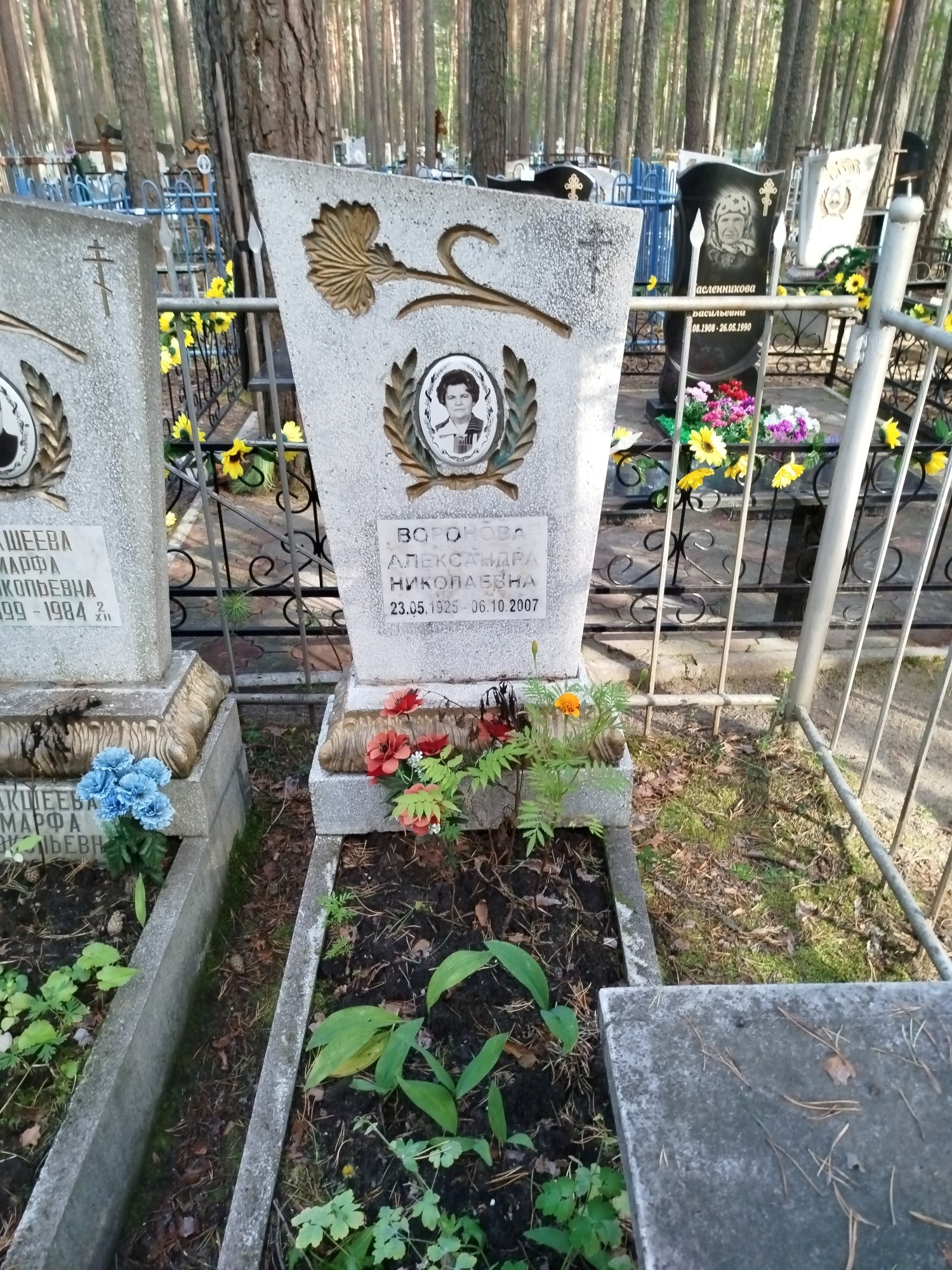 Воронова Александра Николаевна
