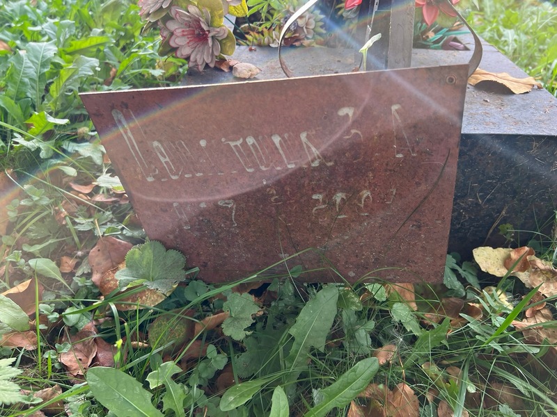 З Никитина А