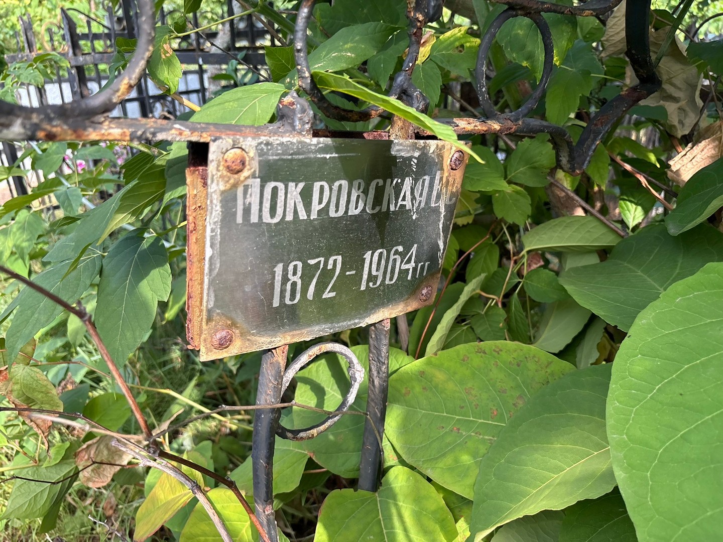 Е Покровская С