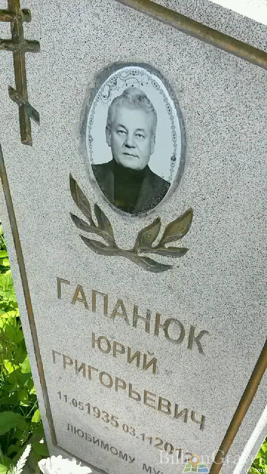 Гапанюк Юрий Григорьевич