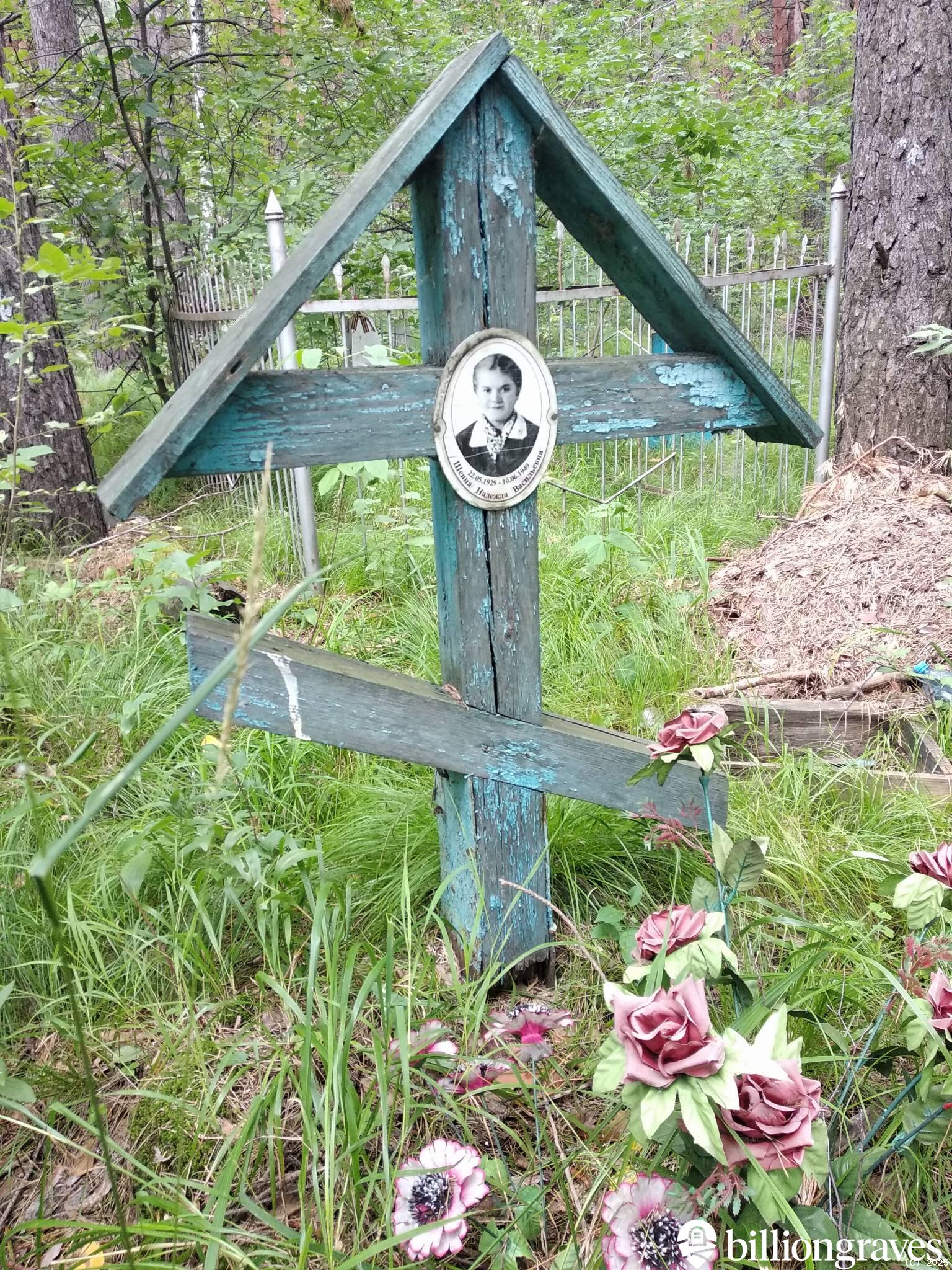 Шеина Надежда Васильевна