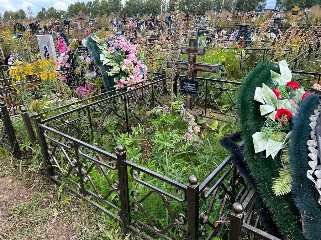 Карашева Людмила Викторовна