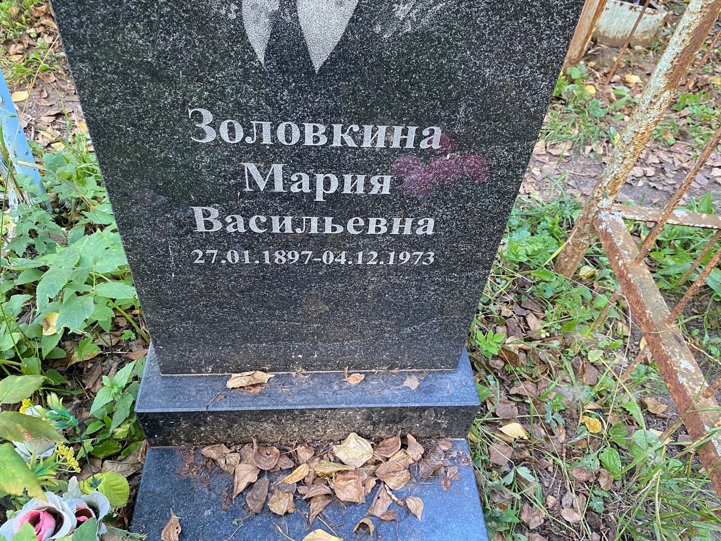 Золовкина