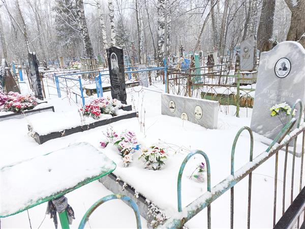 Шушемоин Александр Алексеевич