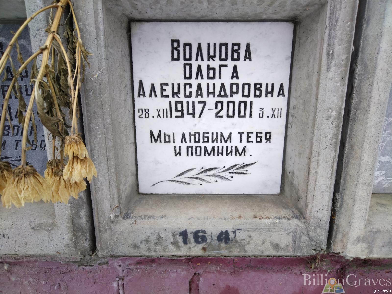 Волкова Ольга Александровна