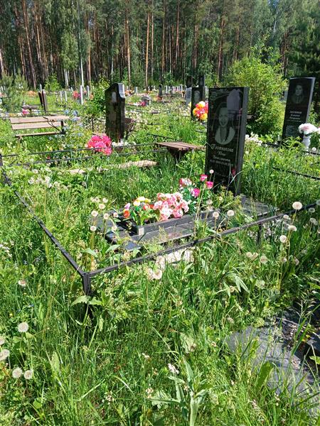 Плотникова Юлия Вячеславовна