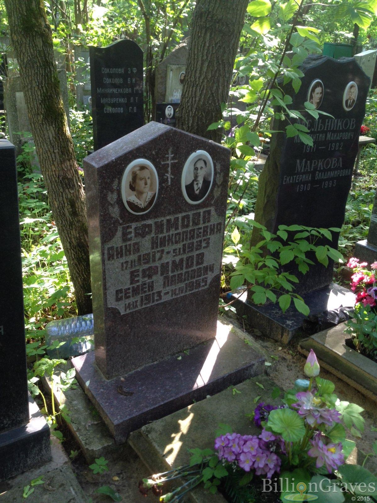 Ефимова Анна Николаевна