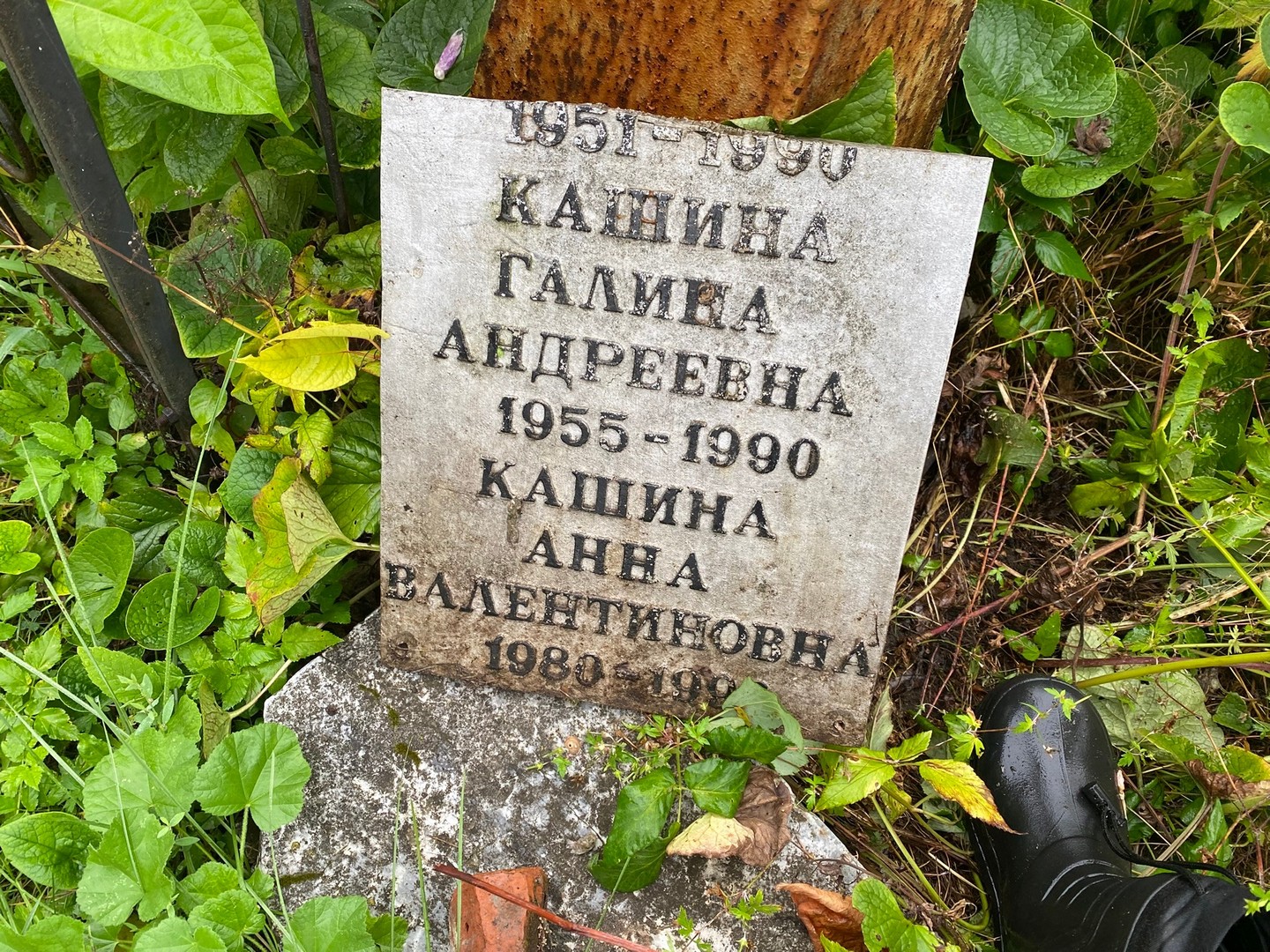 Кашина